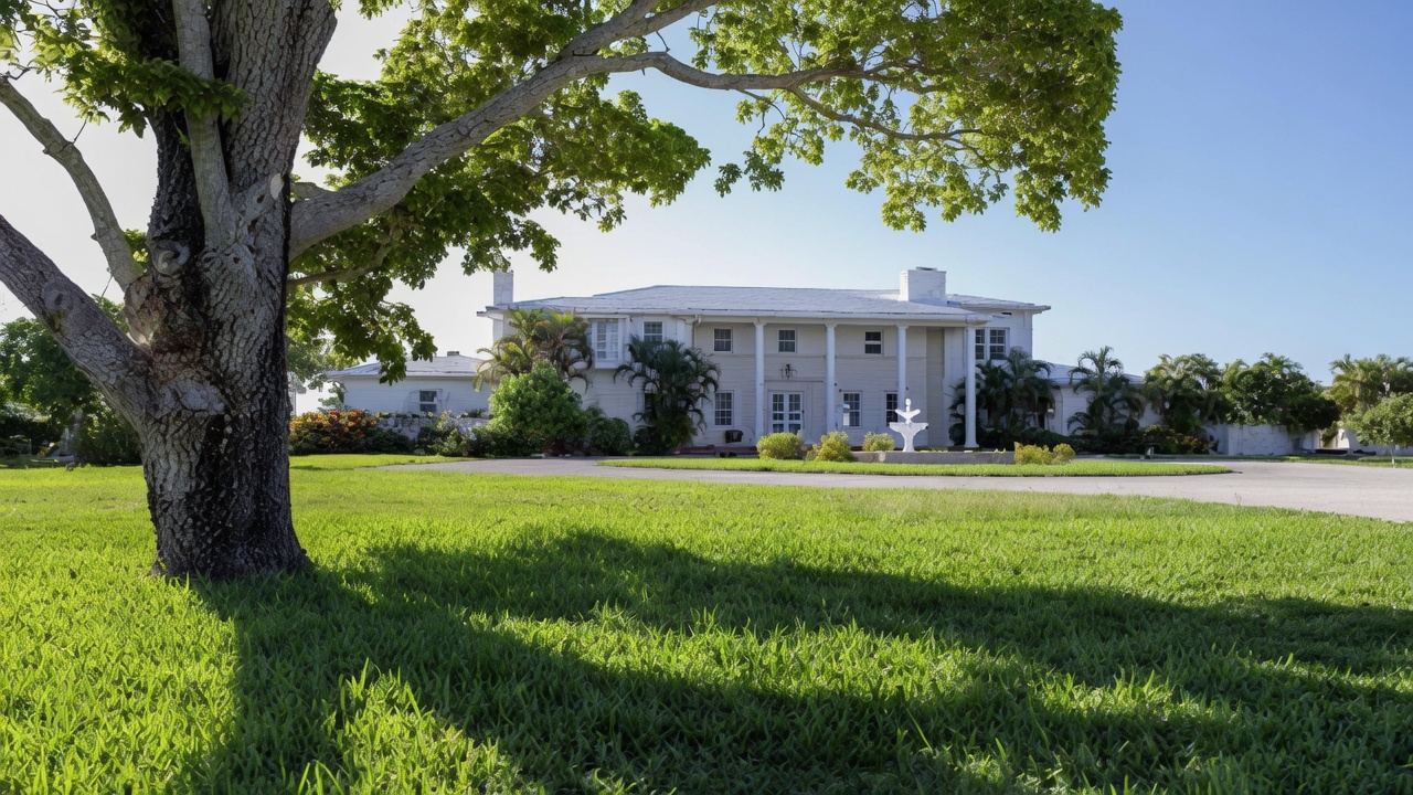 Manicured lawn and grand tree at the Thompson Island private estate